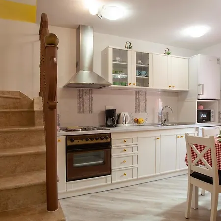 فيلة Old House Pokrajac روفينجسكو سيلو